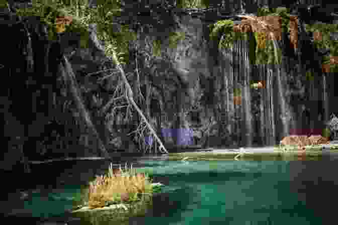 A Depiction Of The Lost Bonnar Spring, Surrounded By Lush Greenery And An Air Of Mystery Disappeared Bonnar Spring