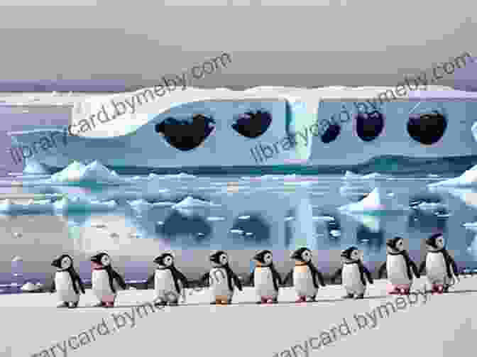 A Group Of Penguins Waddling Across The Icy Landscape Of Antarctica. Antarctica: Antarctic Penguin Emp (Photo Book 42)