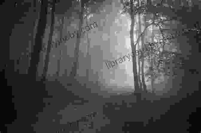 A Mysterious Dark Forest With A Spooky Atmosphere Don T Walk Alone At Night (Easy To Read Spooky Tales)