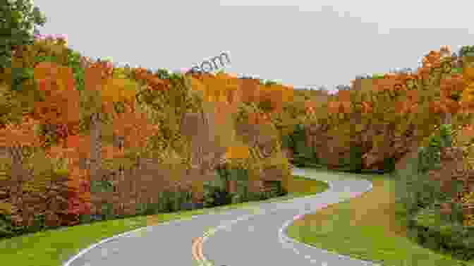 A Panoramic View Of The Natchez Trace Parkway, Showcasing Its Winding Road Amidst Verdant Forests. Guide To The Natchez Trace Parkway