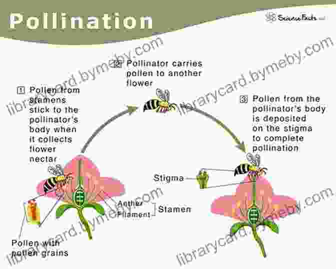 A Plant Producing Chemicals That Attract Pollinators When It Hears The Sound Of Bees Buzzing The Botany Of Desire: A Plant S Eye View Of The World