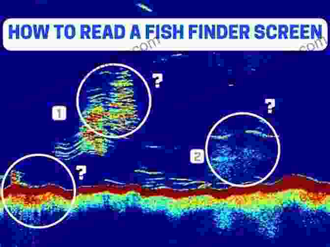 A Sonar Screen Showing Underwater Fish Locations IGFA S 101 Freshwater Fishing Tips Tricks