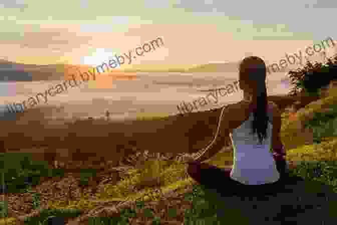 A Woman Sitting On A Rock In A Forest, Surrounded By Trees And Greenery. She Is Looking Up At The Sky, With A Peaceful Expression On Her Face. Nature And The Human Soul: Cultivating Wholeness And Community In A Fragmented World