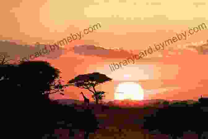 African Landscape With A Sunset Wisdom From Africa: A Collection Of Proverbs