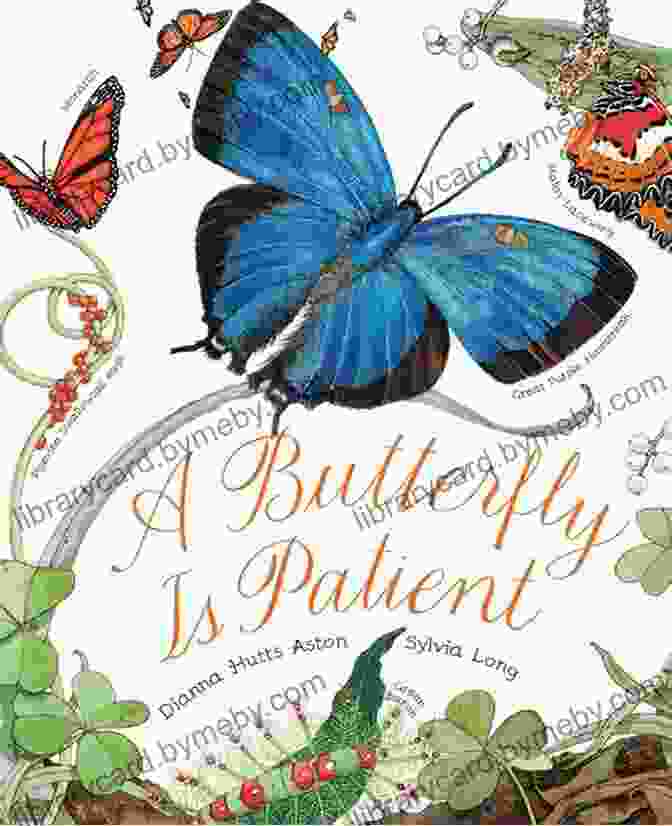 Blue Butterfly Book Cover Blue Butterfly Beth Whitehouse