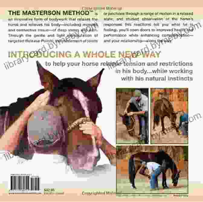 Book Cover: Breakthrough Interactive Method For Alleviating Soreness Strain And Tension Beyond Horse Massage: A Breakthrough Interactive Method For Alleviating Soreness Strain And Tension