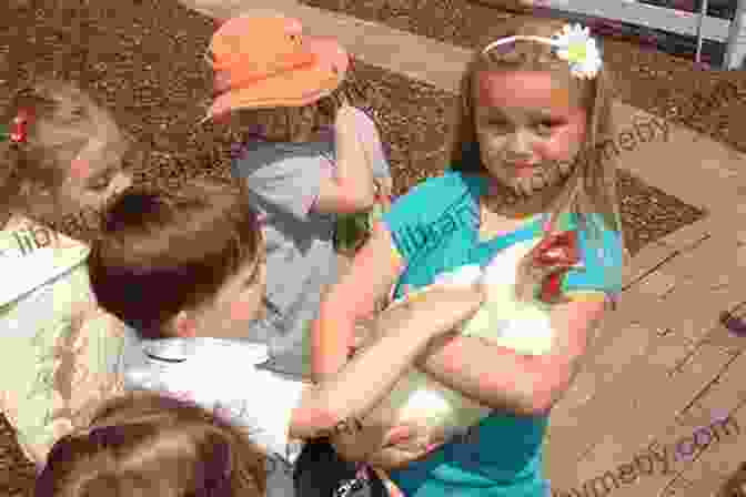 Children Petting A Brown Hen The Hen That Laid Chocolate Eggs