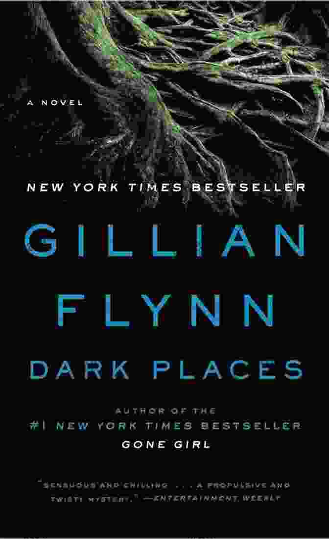 Dark Places Novel Cover Dark Places: A Novel Gillian Flynn