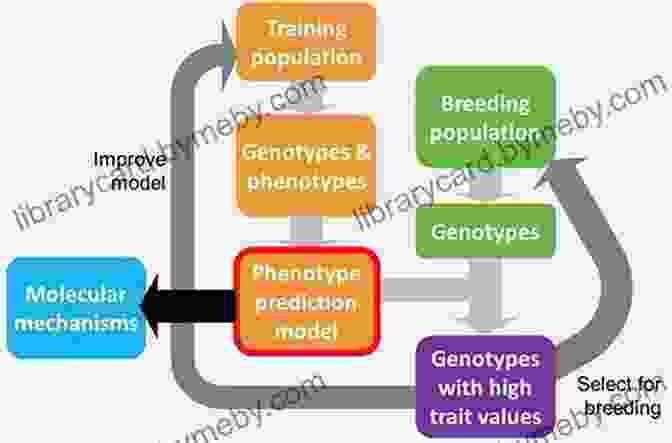 Deep Learning Applied To Genomics Deep Learning For The Life Sciences: Applying Deep Learning To Genomics Microscopy Drug Discovery And More