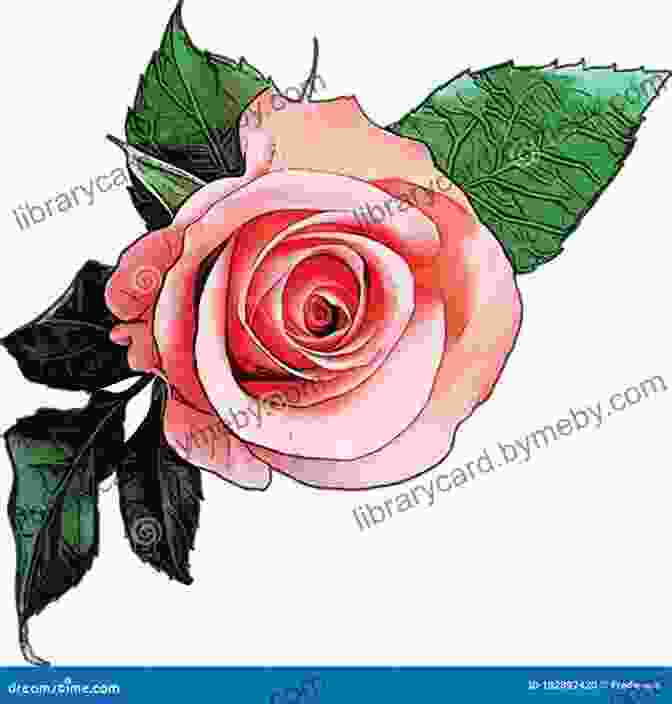 Delicate Illustration Of The Easter Rose Blooming In A Lush Garden Easter Stories: A Storyteller (Lion Storyteller)