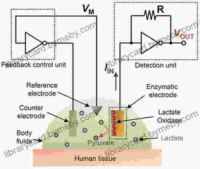 Diagram Of An Amperometric Monitoring System Amperometric And Impedance Monitoring Systems For Biomedical Applications (Bioanalysis 4)