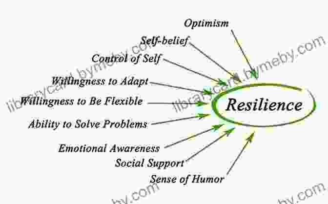 Enhanced Motivation And Resilience Doubles Domination: The Best Of The Best Tips Tactics And Strategies