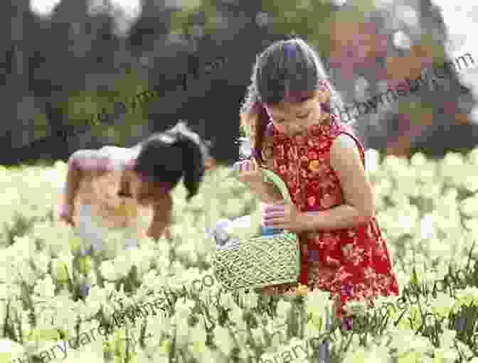 Excited Children Searching For Easter Eggs In A Park A Day In The Life Of An Easter Egg: A Wordless Picture For Kids (A Day In The Life Of Wordless Picture 2)