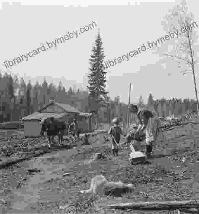 Finnish American Farmers In Karelia They Took My Father: Finnish Americans In Stalin S Russia: Finnish Americans In Stalin S Russia