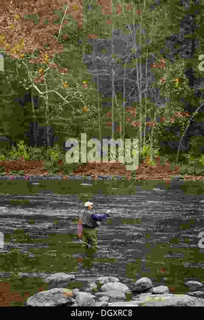 Fly Fisherman Casting Into A River Montana S Best Fly Fishing: Flies Access And Guide S Advice For The State S Premier Rivers