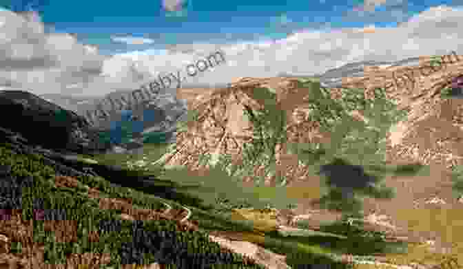 Grizzly Bear Foraging In The Absaroka Beartooth Wilderness Hiking The Absaroka Beartooth Wilderness (Regional Hiking Series)