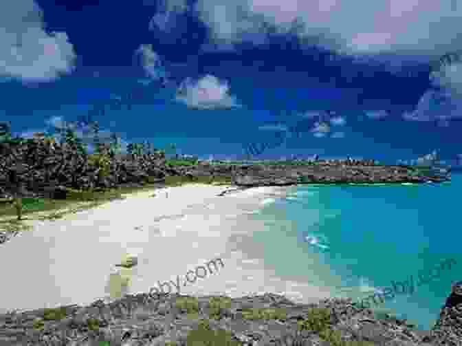 Hidden Beach In Barbados Barbados (Travel Adventures) Keith Whiting