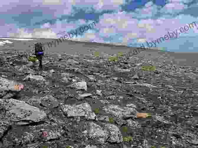 Hikers Traversing A Scenic Trail In The Absaroka Beartooth Wilderness Hiking The Absaroka Beartooth Wilderness (Regional Hiking Series)