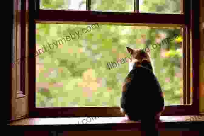 Humphrey Sitting On A Windowsill, Looking Out At The Summer Sky Summer According To Humphrey Betty G Birney