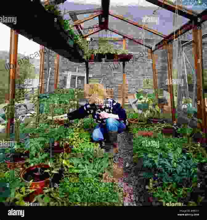 Image Of A Gardener Tending To Plants In A Greenhouse The Greenhouse Gardener S Bible: 7 In 1 The Most Complete Guide To Start Growing Your Own Fresh Vegetables Fruits And Herbs All Year Round Raised Bed Gardening Hydroponics Companion Planting