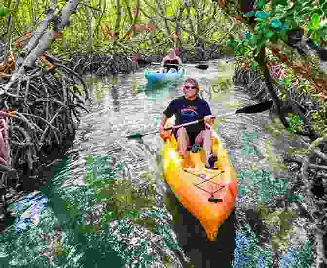 Kayaking Through Mangrove Tunnels Florida Day Trips By Theme (Day Trip Series)