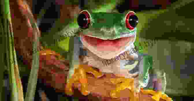 Og The Frog, A Vibrant Green Frog With Big Eyes And A Wide Smile, Is Hopping Through A Field Of Wildflowers. Wildlife According To Og The Frog