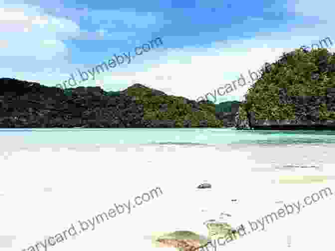 Pristine Beach In Palau Micronesia And Palau (Other Places Travel Guide)