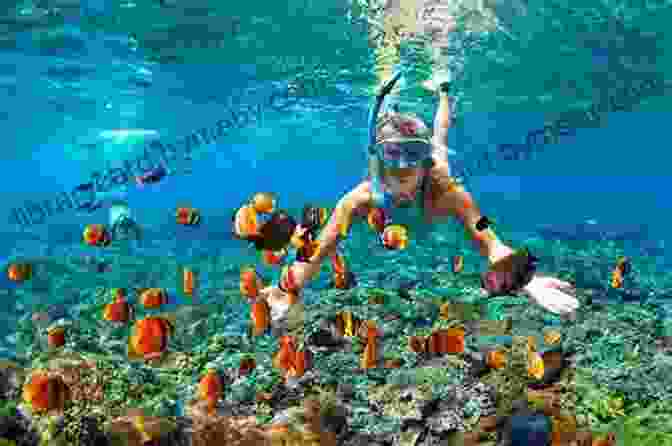 Snorkeling Amidst Vibrant Coral Reefs And Colorful Marine Life In The Virgin Islands. Windward To The Virgin Islands