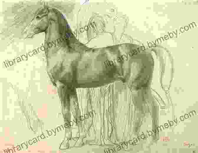 Study Of A Horse Jacopo Bellini S Of Drawings In The Louvre: And The Paduan Academy Of Francesco Squarcione