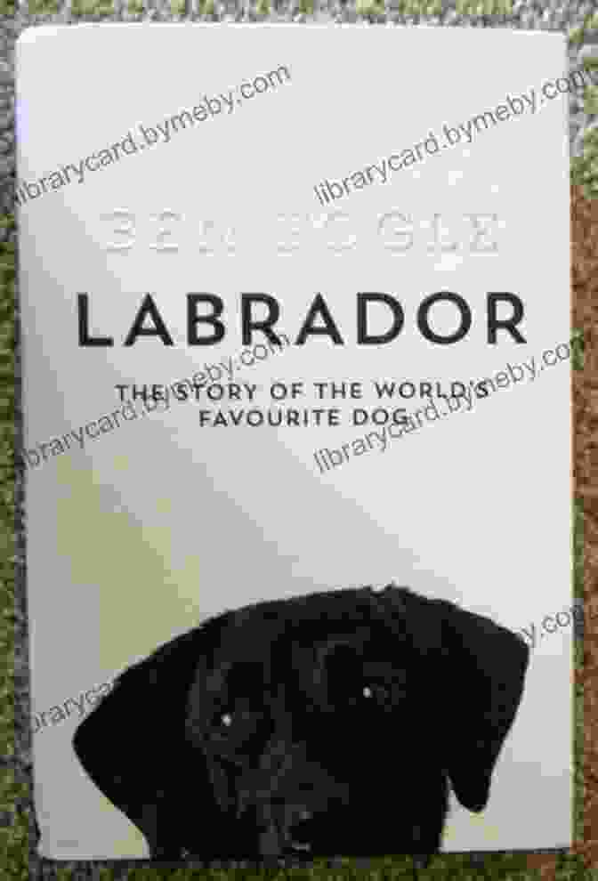 The Story Of The World's Favourite Dog Labrador: The Story Of The World S Favourite Dog