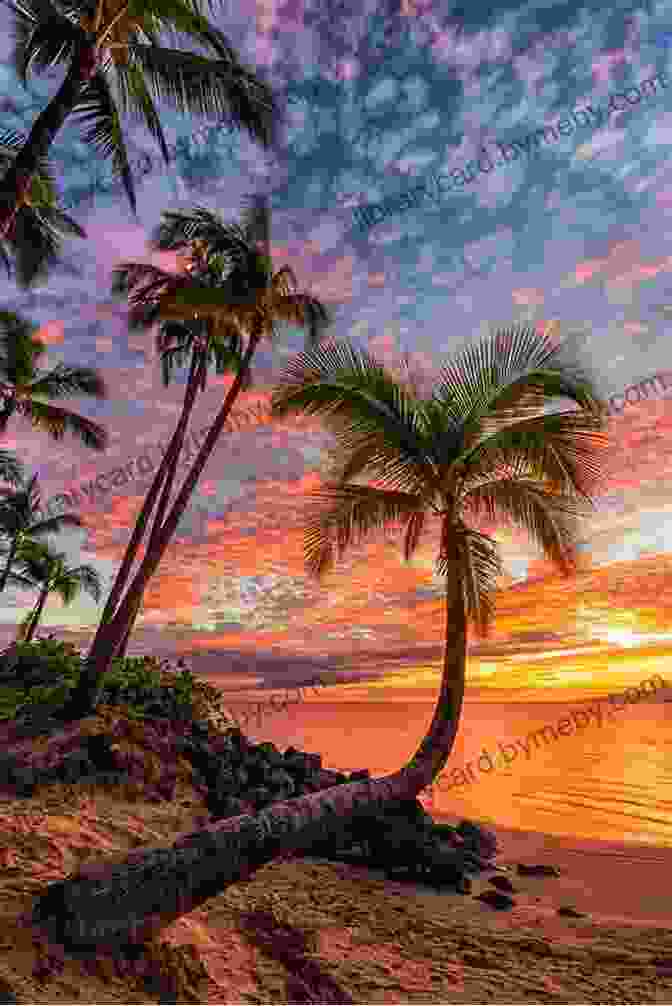 Vibrant Hawaiian Sunset Over The Ocean The Value Of Hawai I 2: Ancestral Roots Oceanic Visions (Biography Monographs)