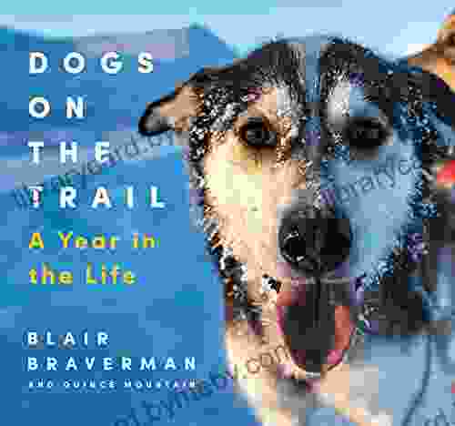 Dogs on the Trail: A Year in the Life