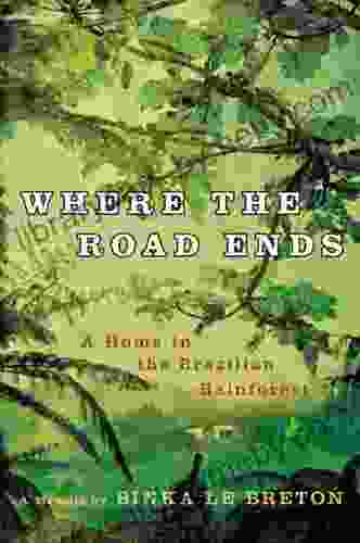 Where The Road Ends: A Home In The Brazilian Rainforest