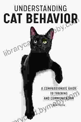 Understanding Cat Behavior: A Compassionate Guide to Training and Communication