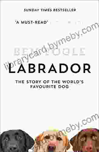 Labrador: The Story Of The World S Favourite Dog