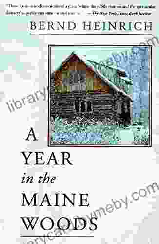 A Year In The Maine Woods